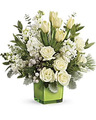 Winter Pop Bouquet | Mixed Bouquets | Same Day Flower Delivery | White | Teleflora