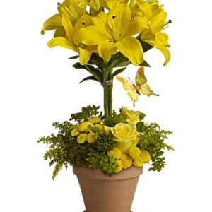 Yellow Fellow | Mixed Bouquets | Same Day Flower Delivery | Teleflora