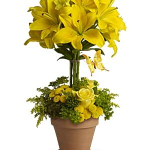Yellow Fellow | Mixed Bouquets | Same Day Flower Delivery | Teleflora