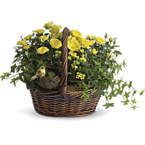 Yellow Trio Basket | Roses | Same Day Flower Delivery | Teleflora